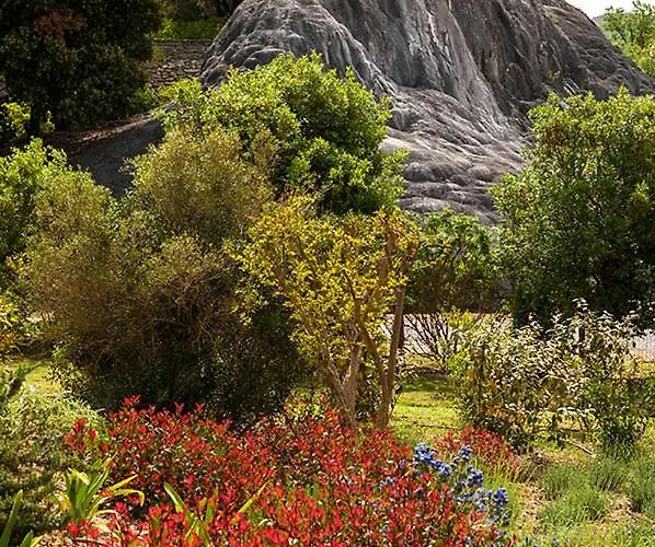 San Giovanni Terme Rapolano