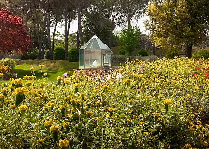 San Giovanni Terme Rapolano 리조트 4*